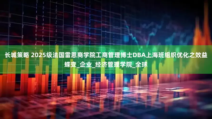 长城策略 2025级法国雷恩商学院工商管理博士DBA上海班组织优化之效益蝶变_企业_经济管理学院_全球
