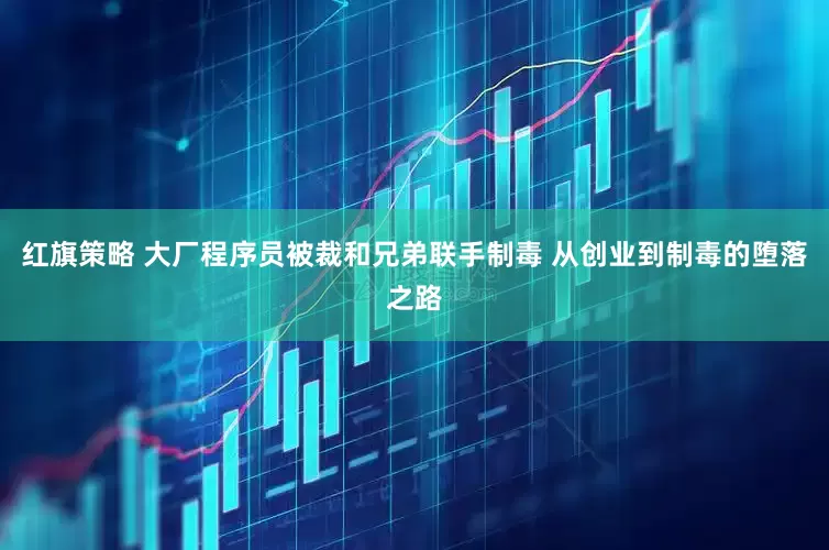 红旗策略 大厂程序员被裁和兄弟联手制毒 从创业到制毒的堕落之路